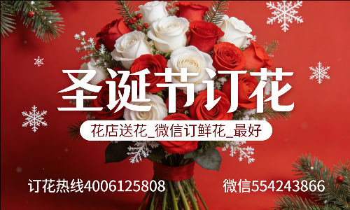 达州通川区花店送花_微信订鲜花_圣诞节订花_最好? 达州通川区花店